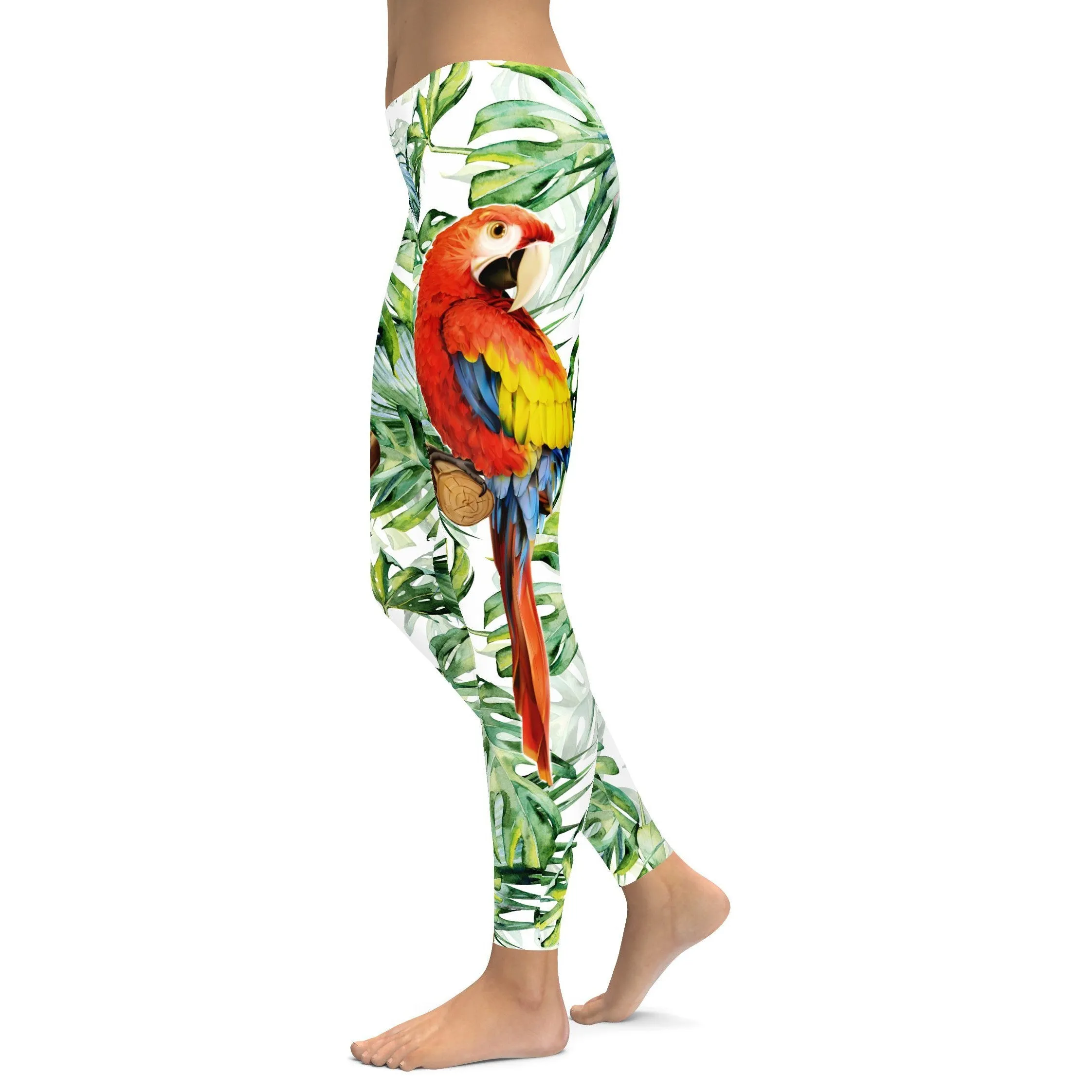 Colorful Parrot Leggings